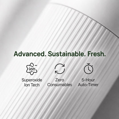 Automatic Superoxide Ion Shoe Purifier – DOMKAKA